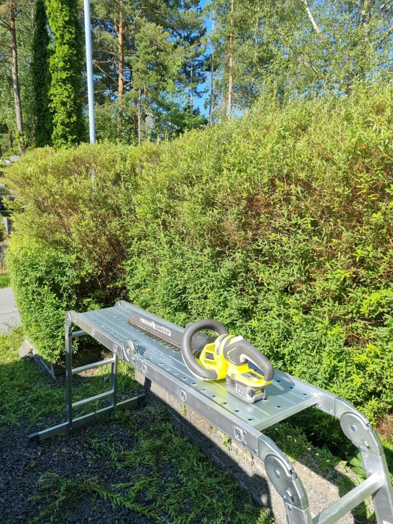 509608343_122141733350754887_6876353296528403372_n